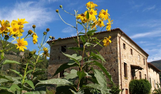 Al Palazzaccio