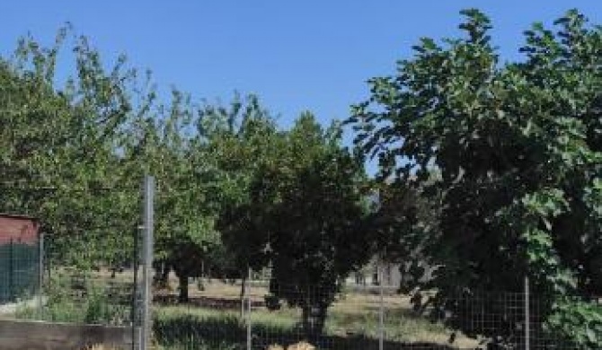 ALLOGGIO TAMBURRO
