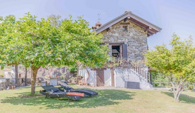 Solivo Farm