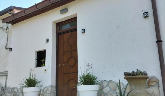 CASINA DAMÍ