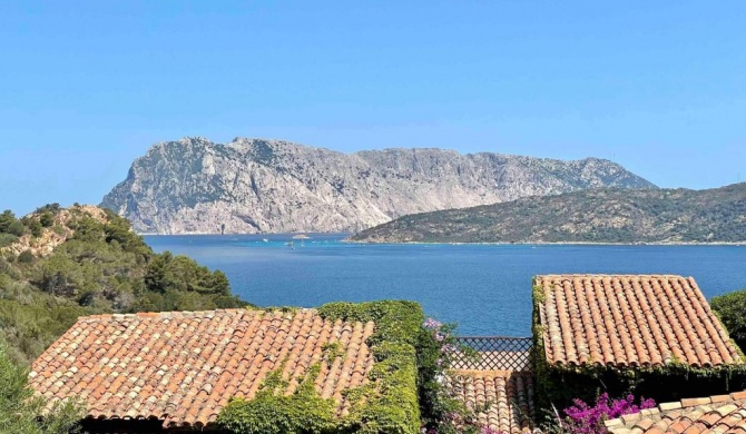 SAN TEODORO PUNTA EST TRILOCALE VISTA MARE
