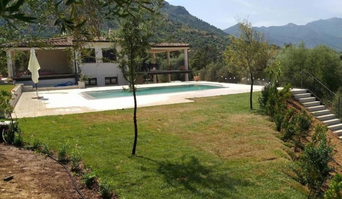 Villa con piscina tra le vigne del Cannonau