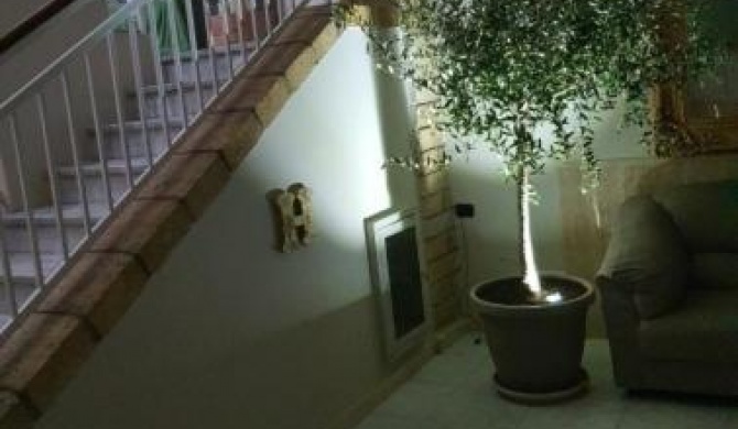 Il Casertano