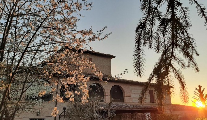 Podere Palazzetto